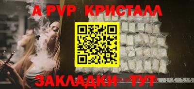 стаф Тула