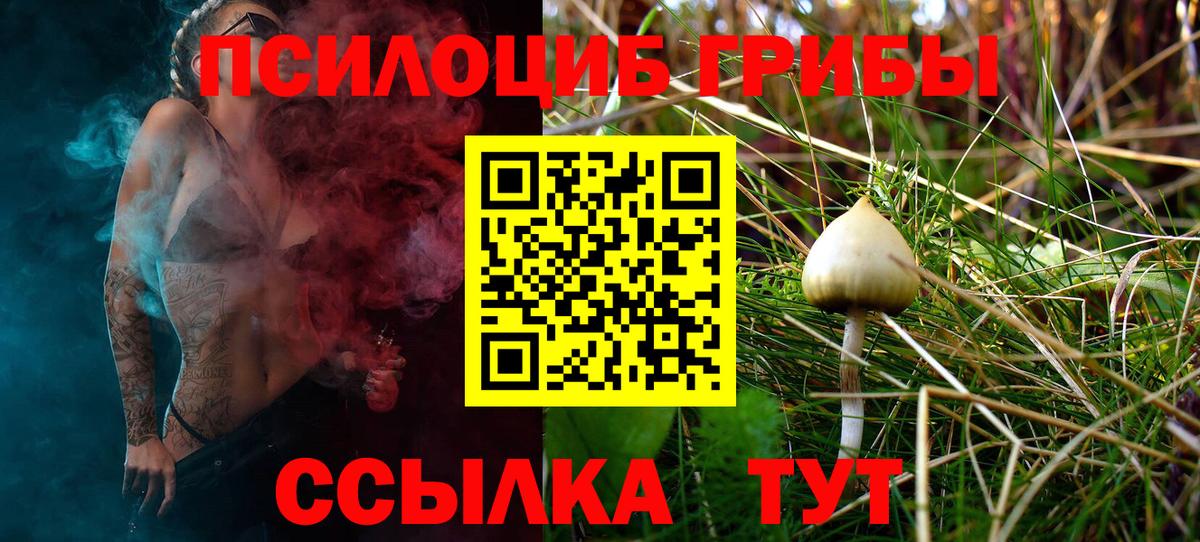 Артём  Галлюциногенные грибы Cubensis  Вход с VPN  Псилоцибиновые грибы ЛСД 