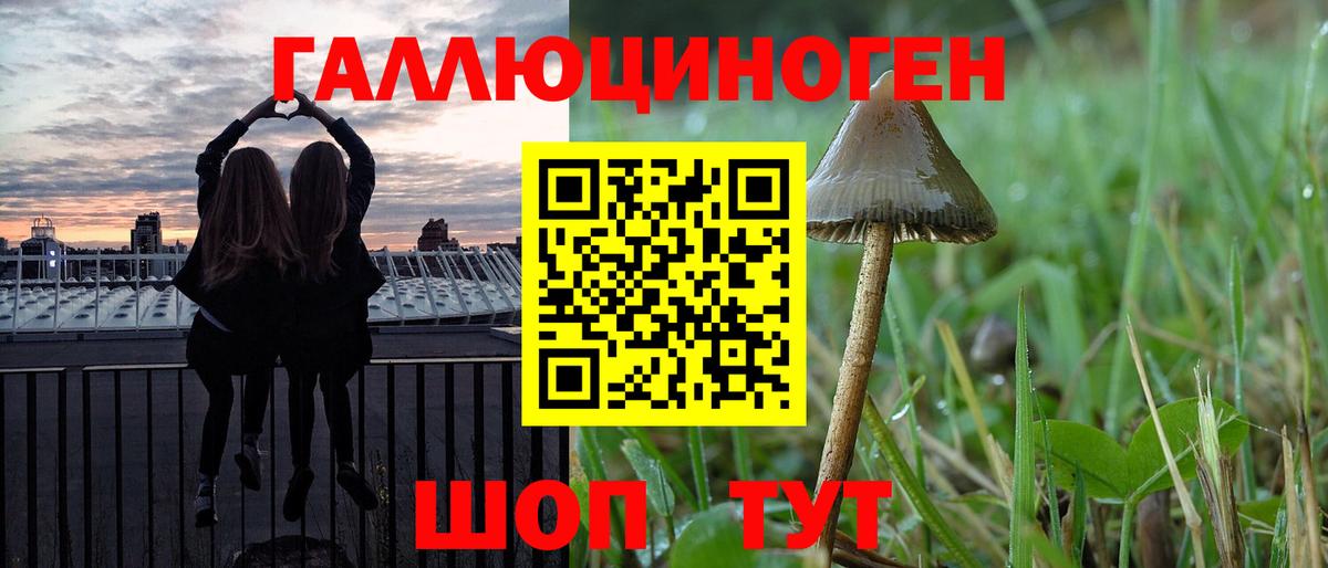 Псилоцибиновые грибы Psilocybe Артём